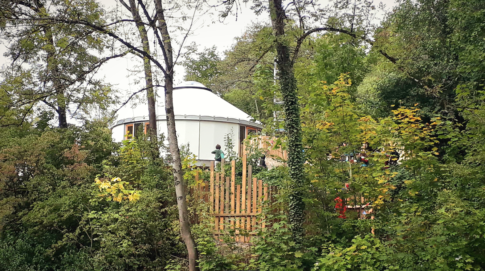 Screenshot from 2020-11-17 10-25-48