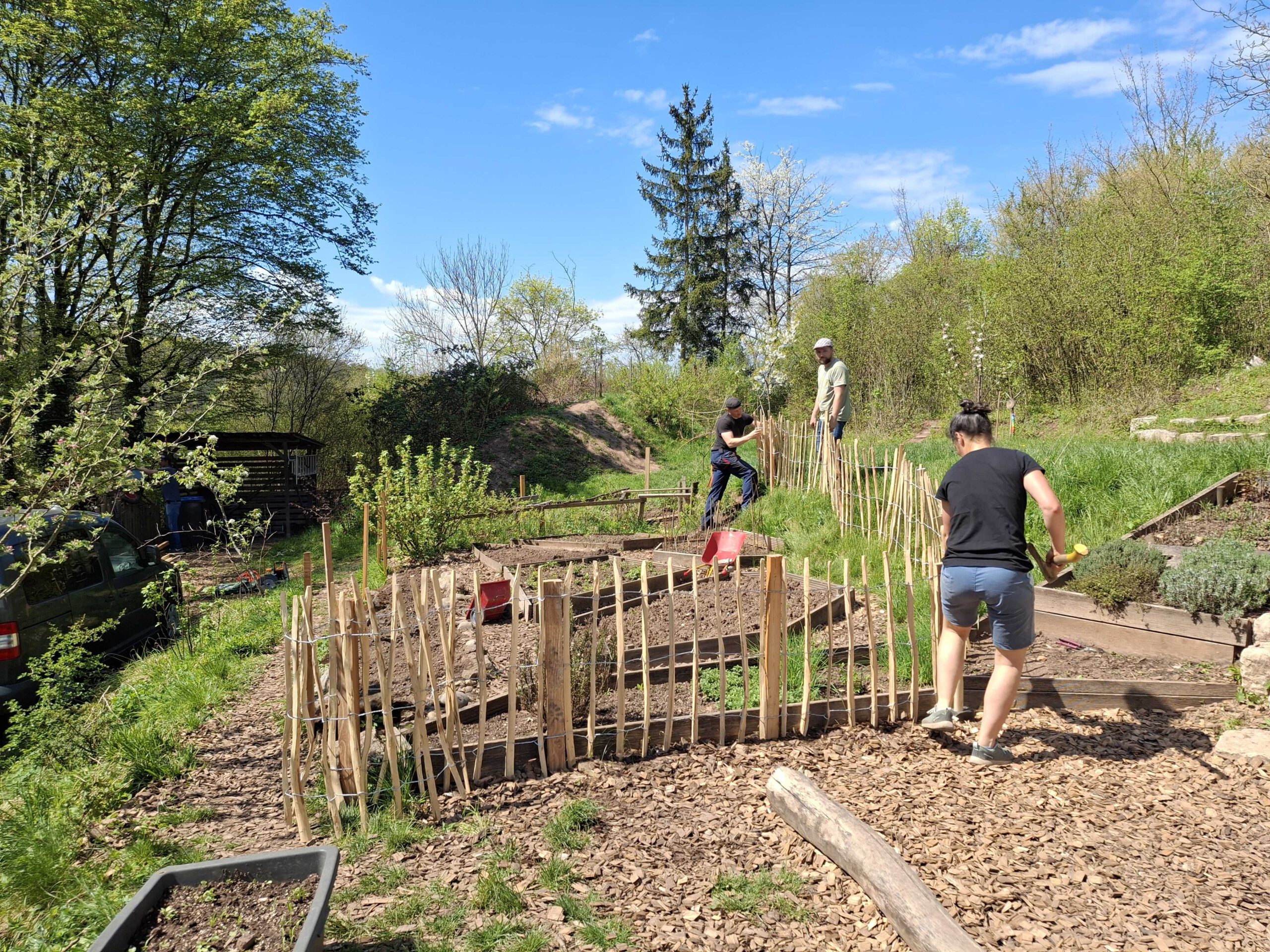 HP_20260418_124127_2